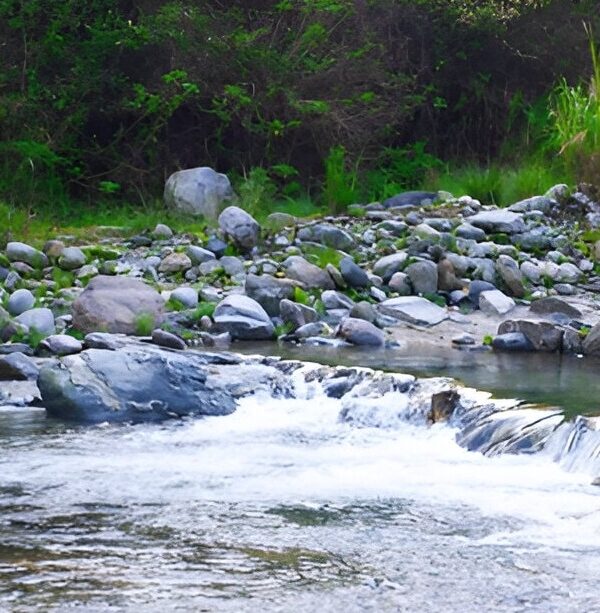 Rishikhola River